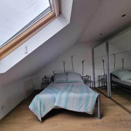 Cheerful Roof Flat In A Private German Style House Mannheim