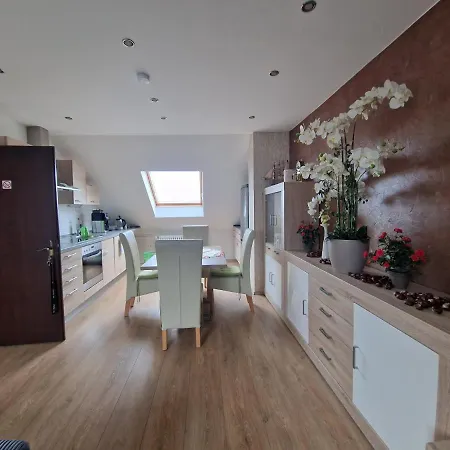 Cheerful Roof Flat In A Private German Style House