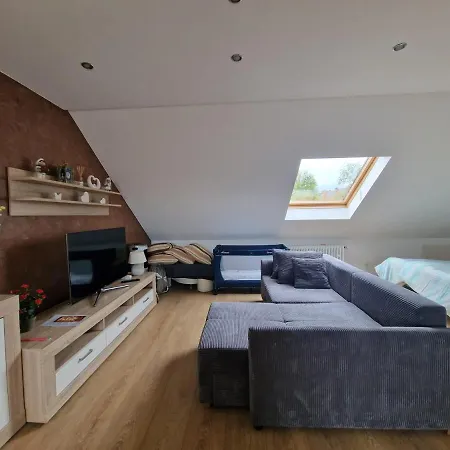 Cheerful Roof Flat In A Private German Style House Mannheim