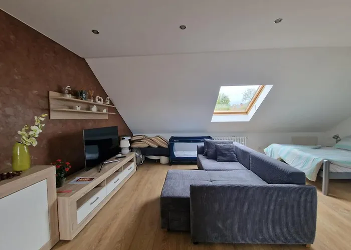 Cheerful Roof Flat In A Private German Style House Mannheim